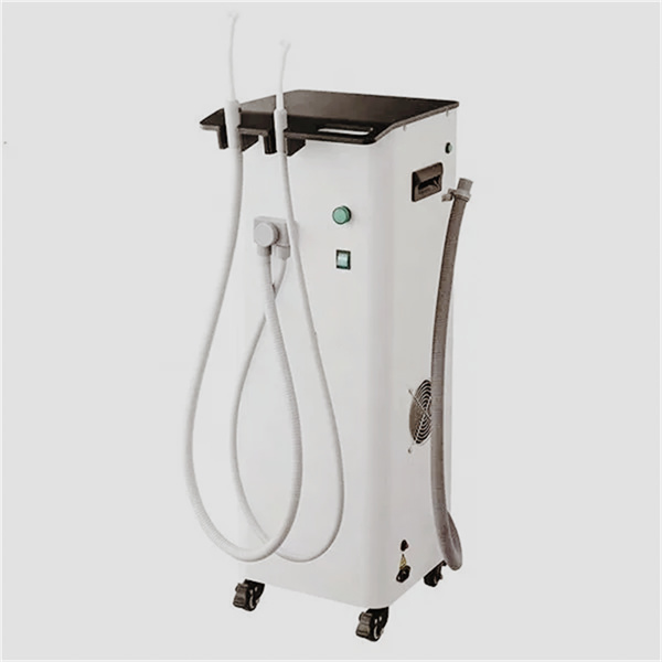 The Perfect Companion for Dental Hygiene Professionals